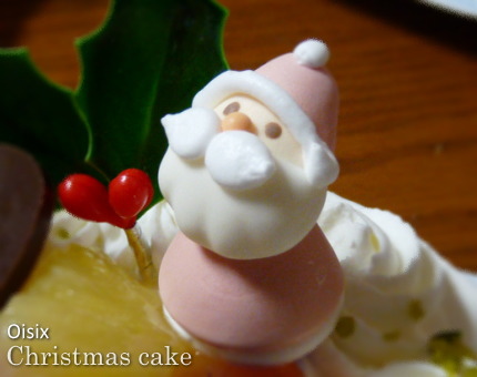 2009クリスマスケーキ