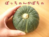 ぼっちゃんかぼちゃ
