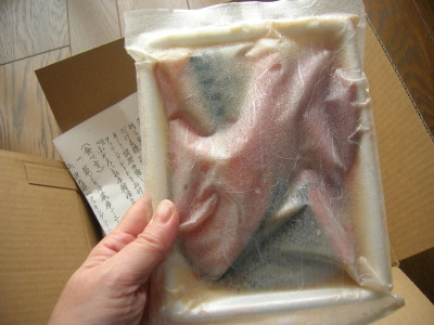 紙の向こうに幸せの香り 彩り漬け魚