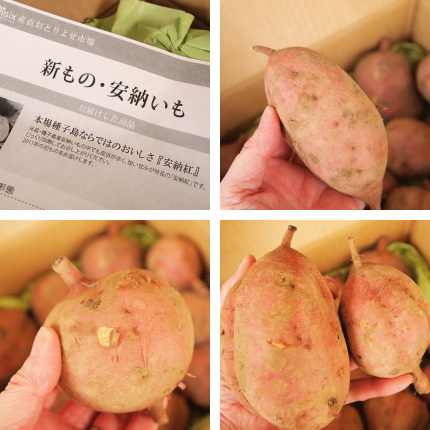 Oisix安納いも